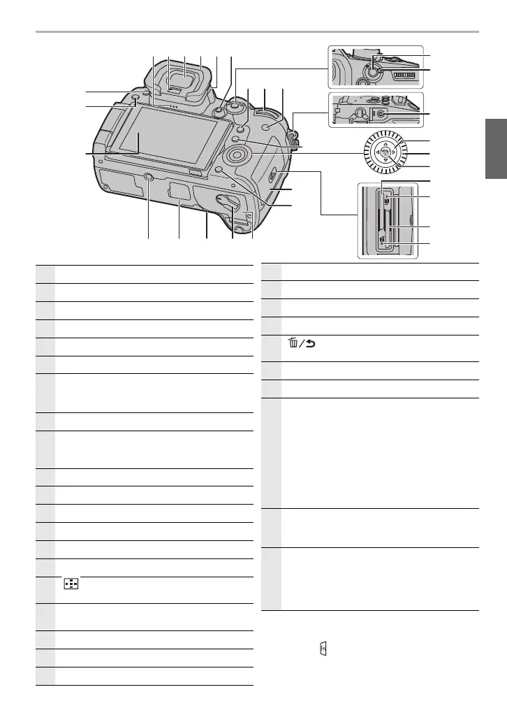 Page #17 background image