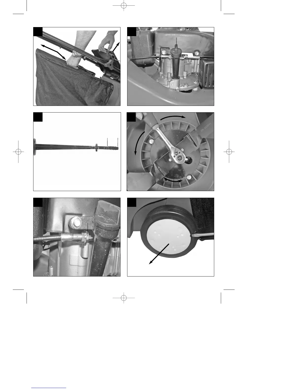 Page #6 background image
