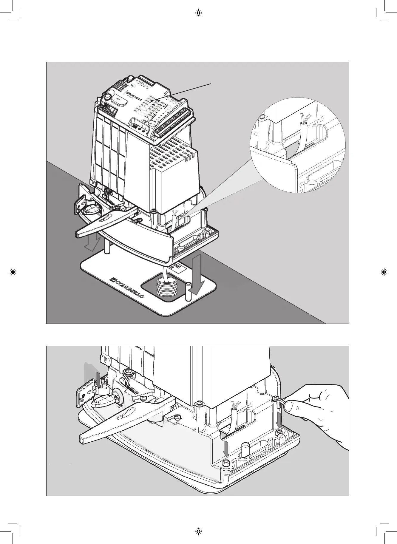 Page #3 background image