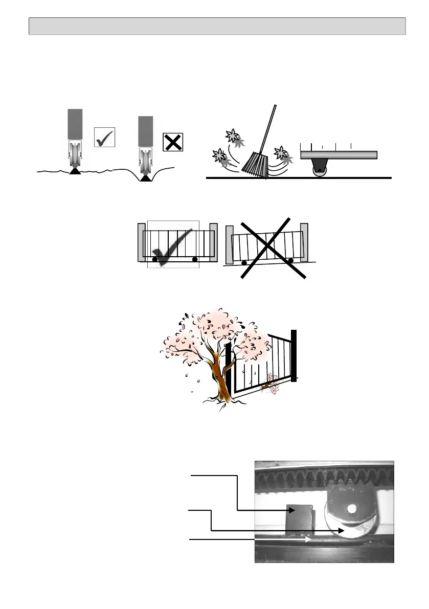 Page #8 background image