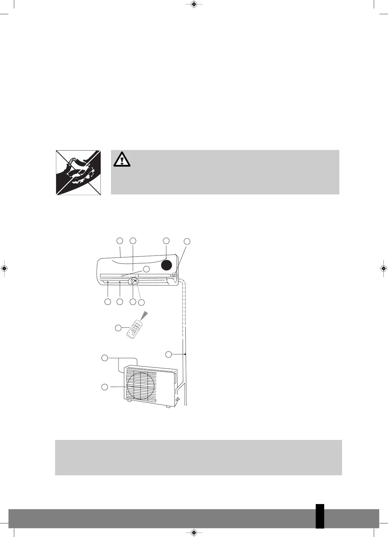 Page #225 background image