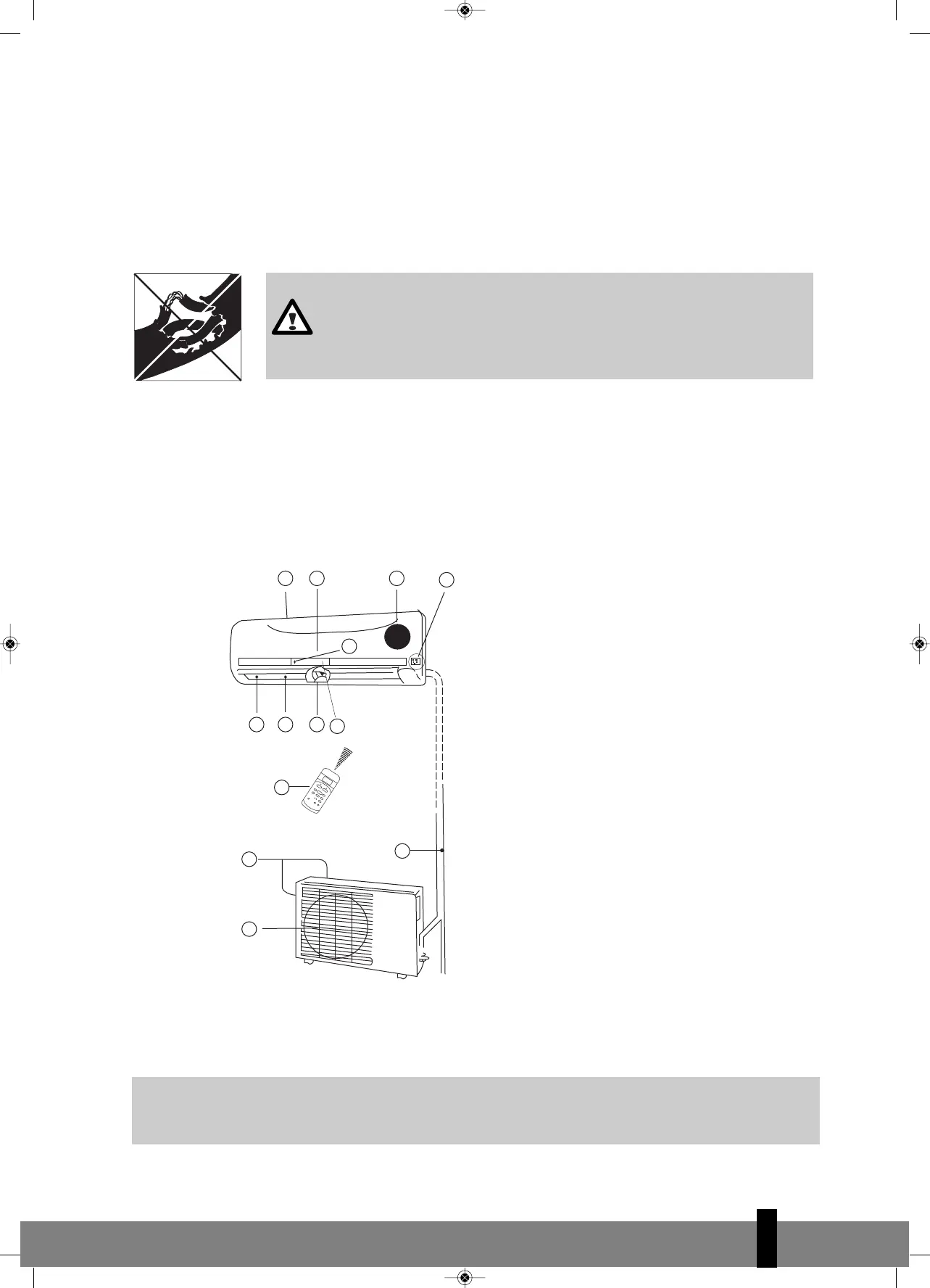 Page #247 background image