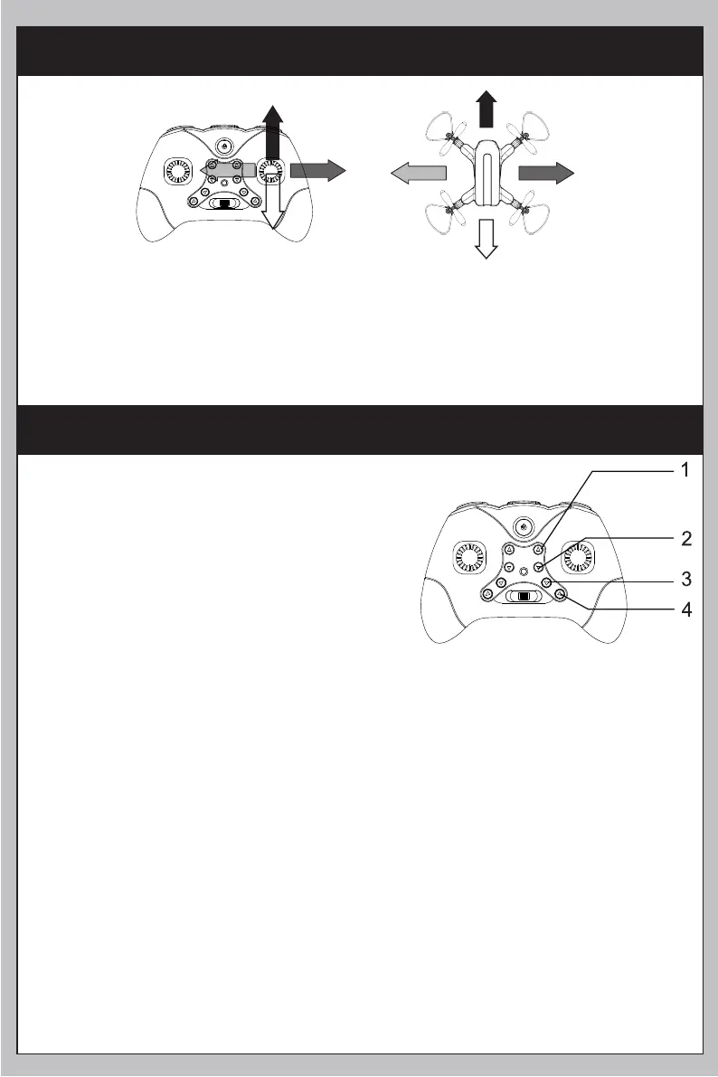 Page #17 background image