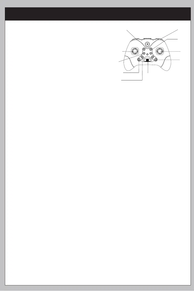 Page #19 background image