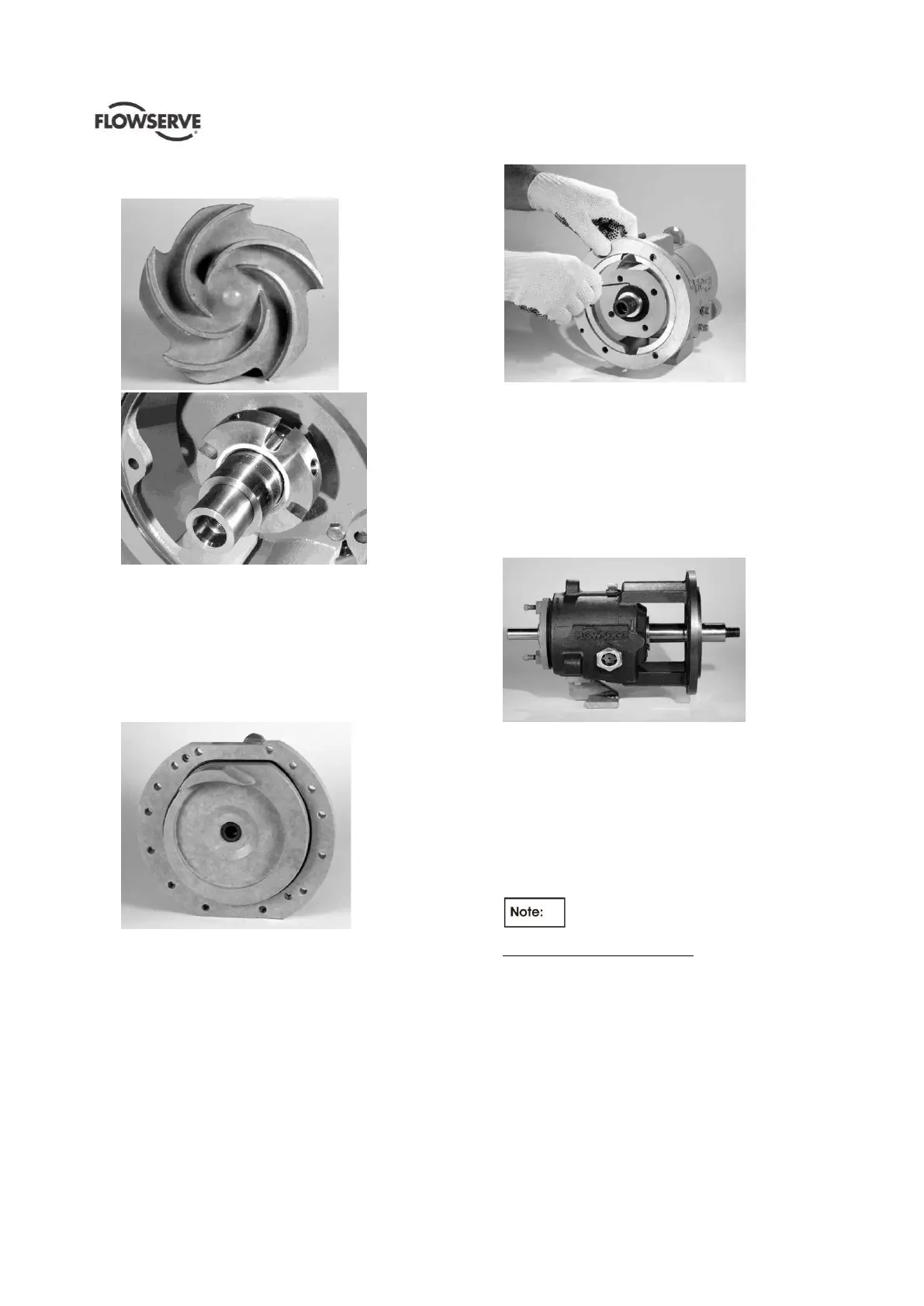Page #36 background image