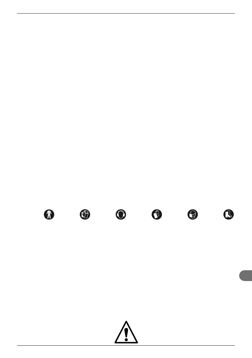 Page #239 background image