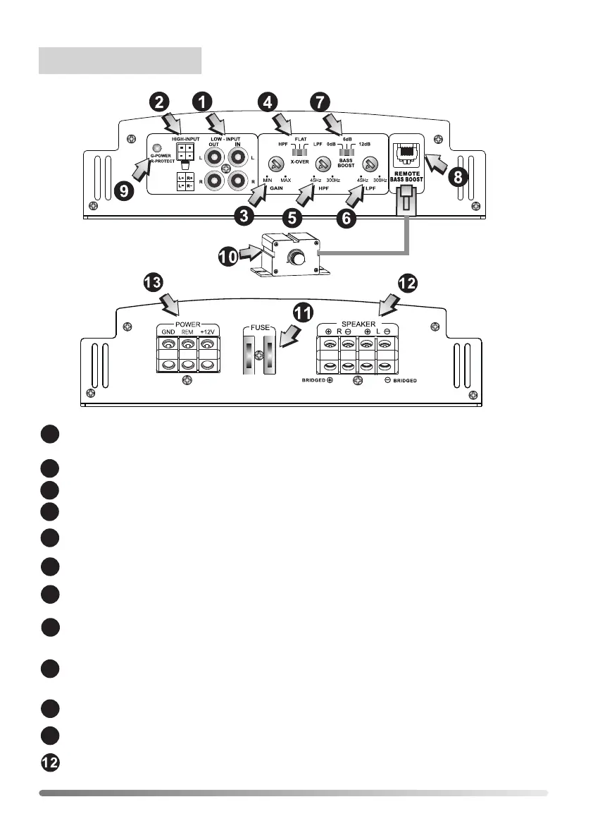 Page #8 background image
