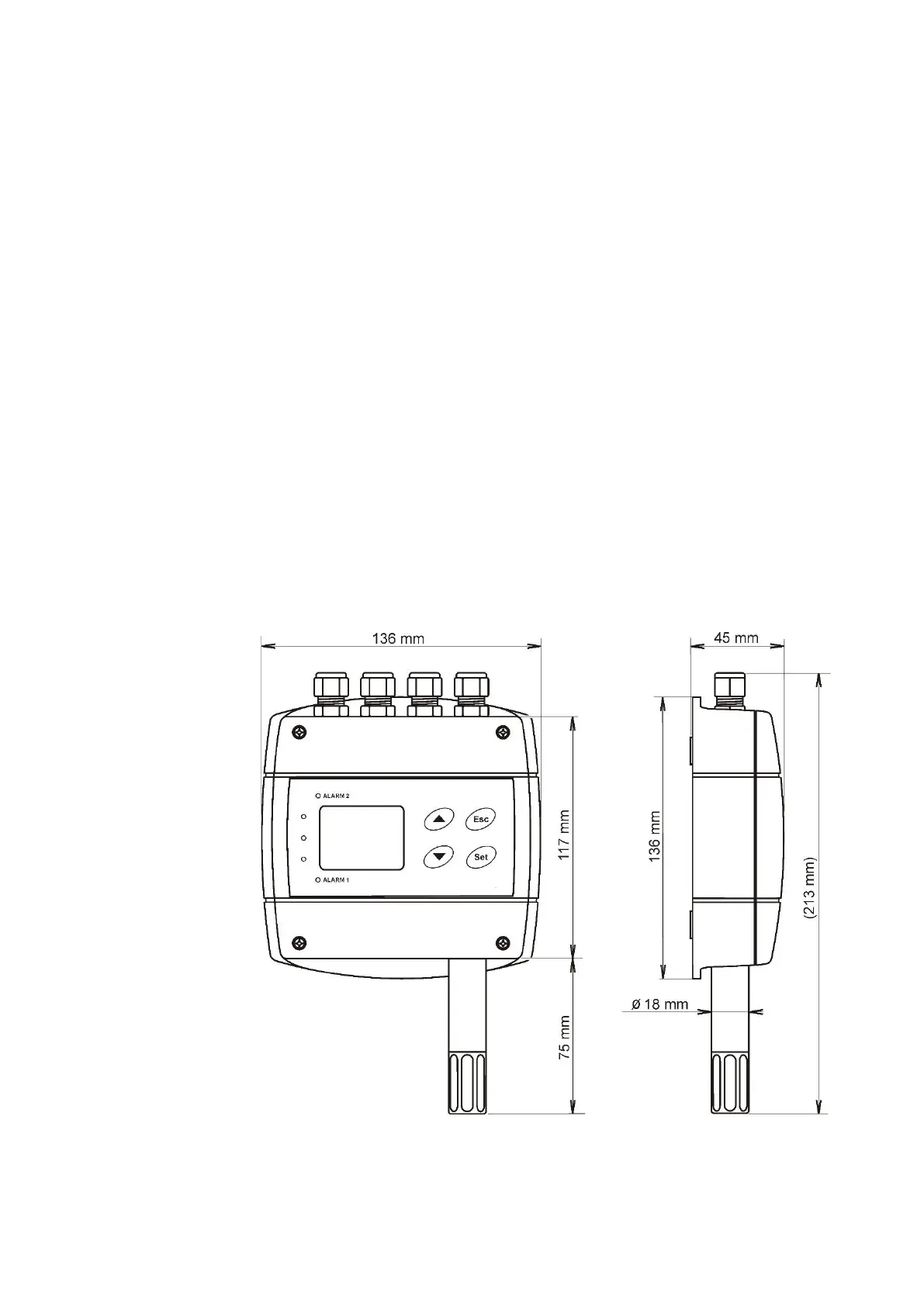 Page #5 background image