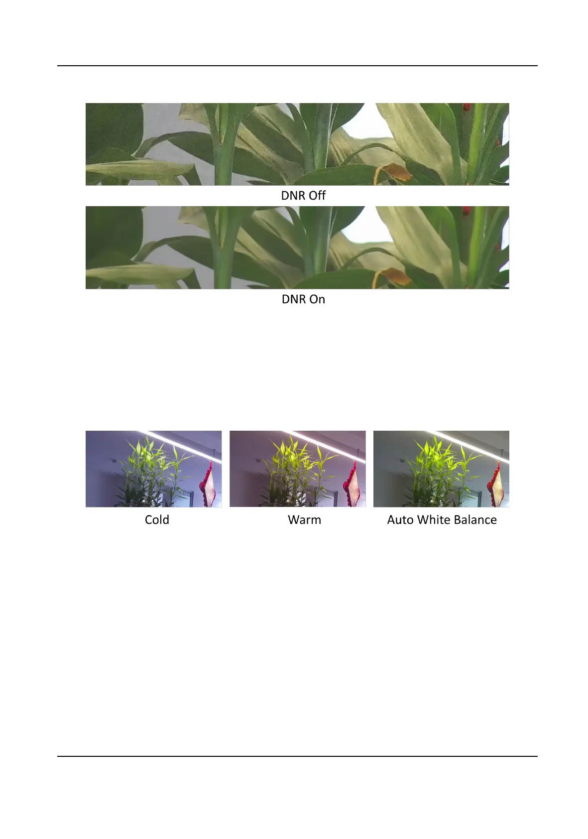 Page #55 background image