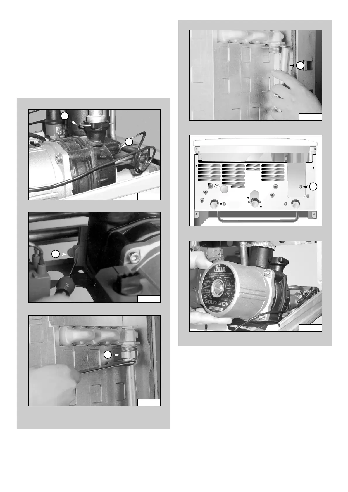Page #12 background image