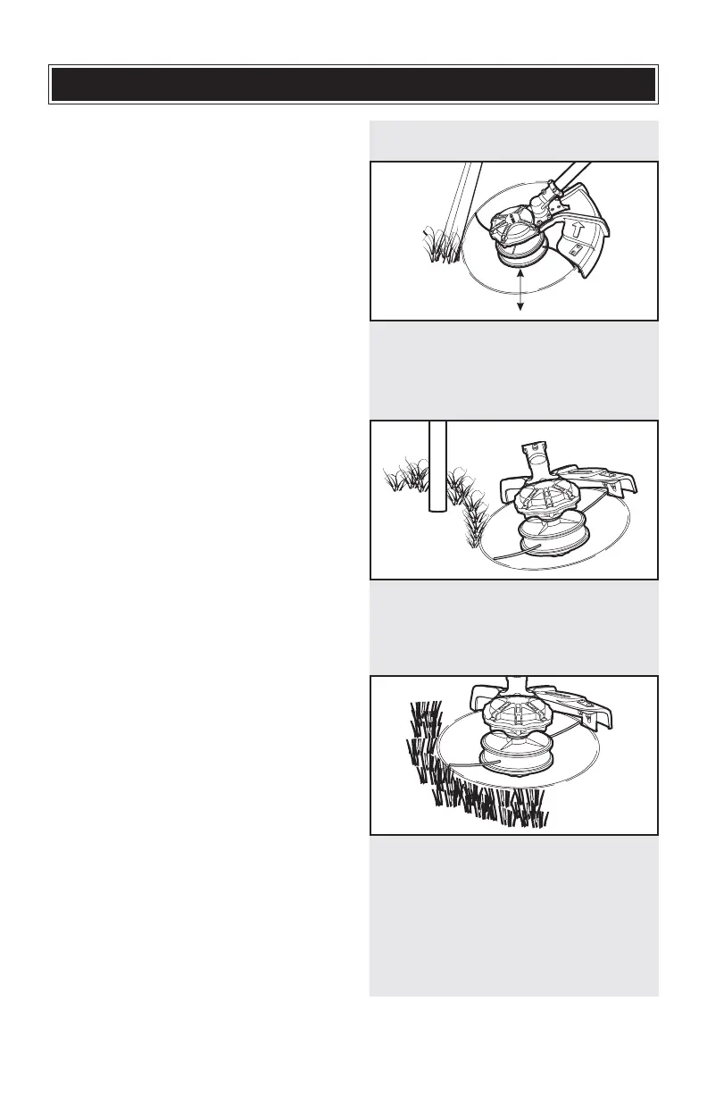 Page #52 background image