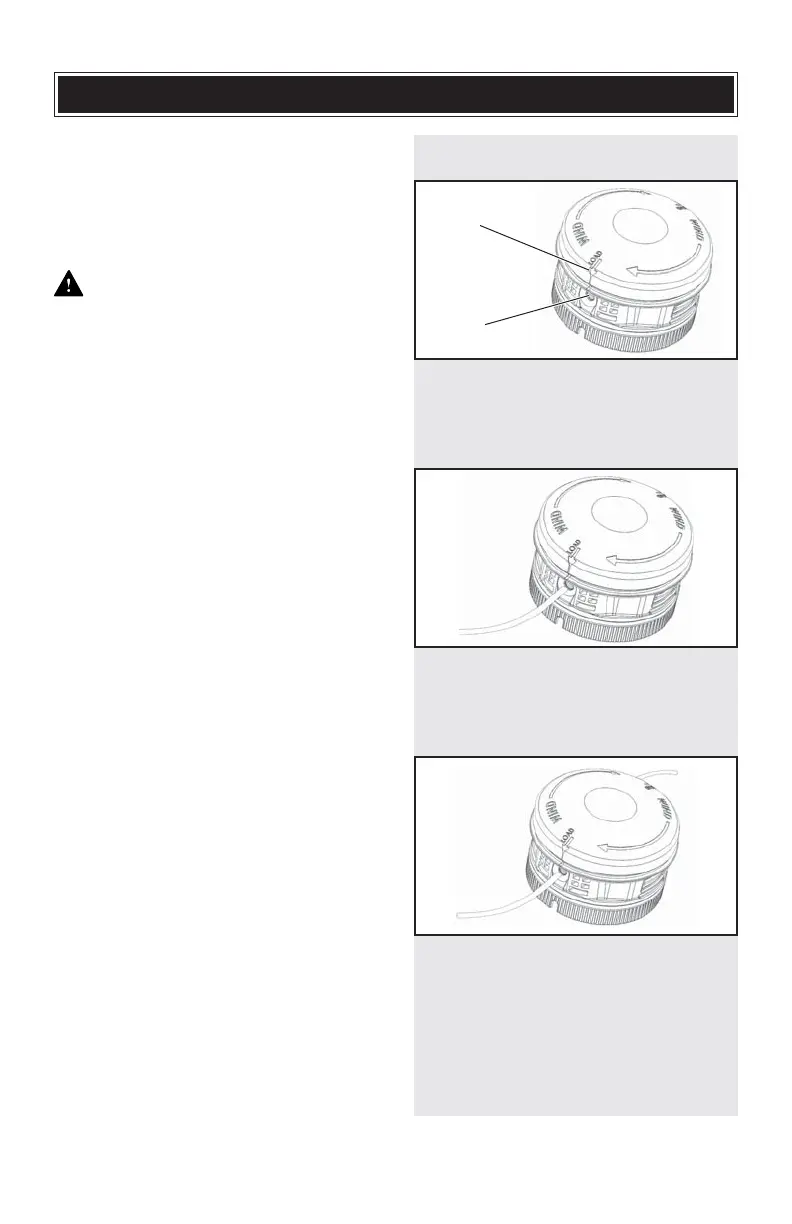 Page #56 background image