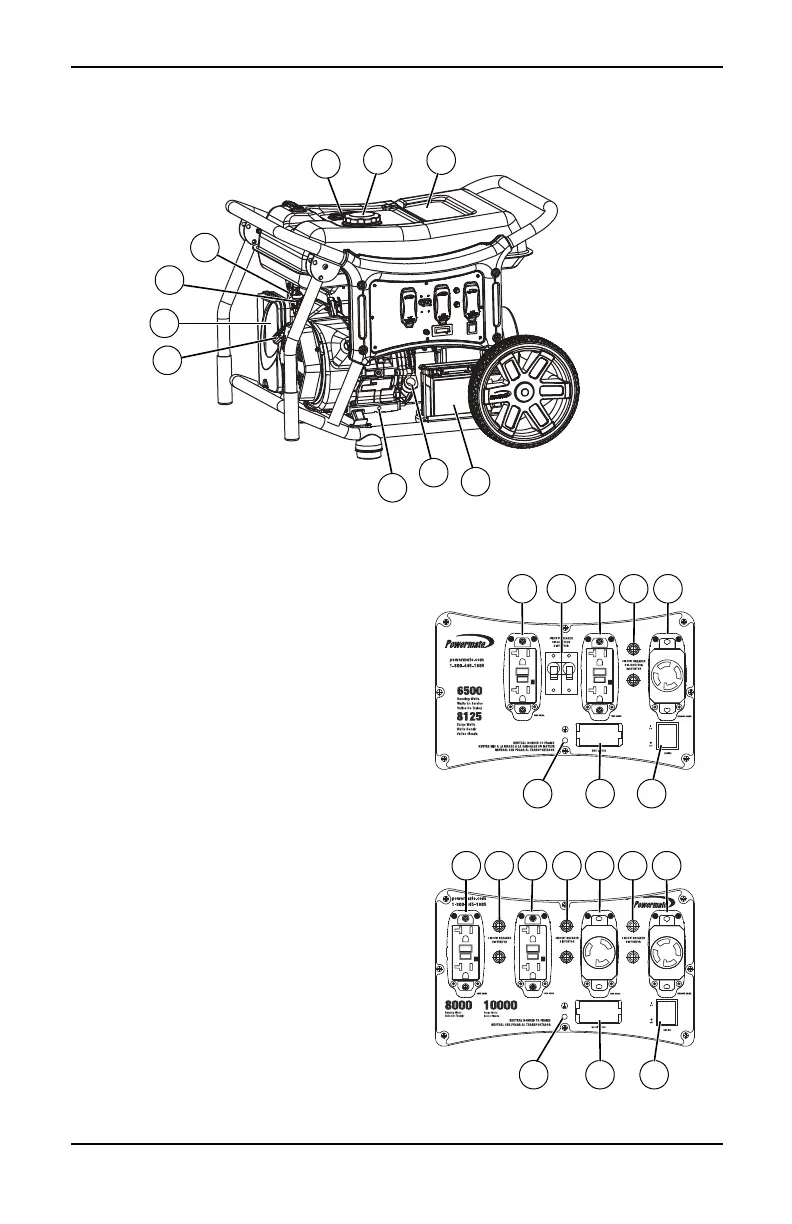 Page #6 background image