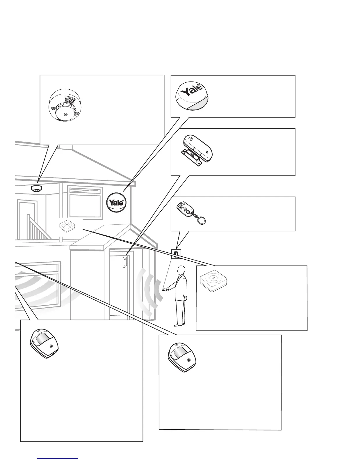 Page #5 background image