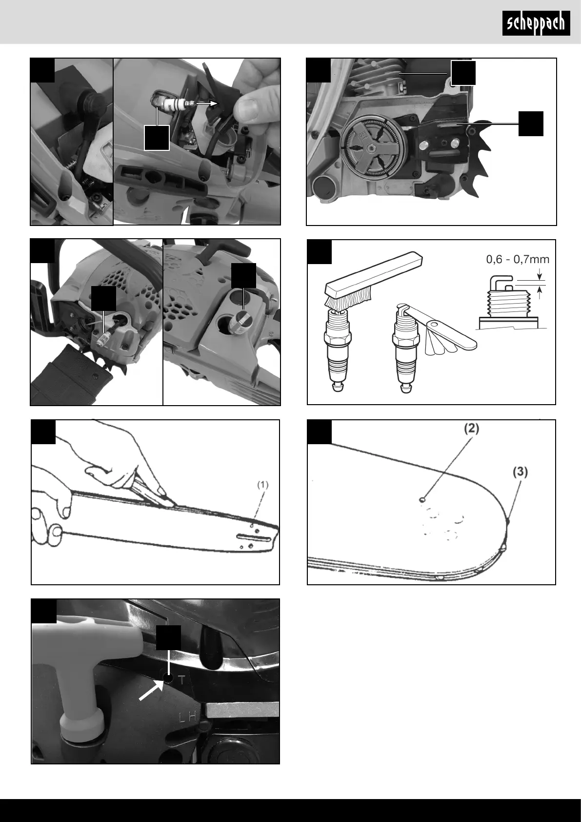 Page #5 background image