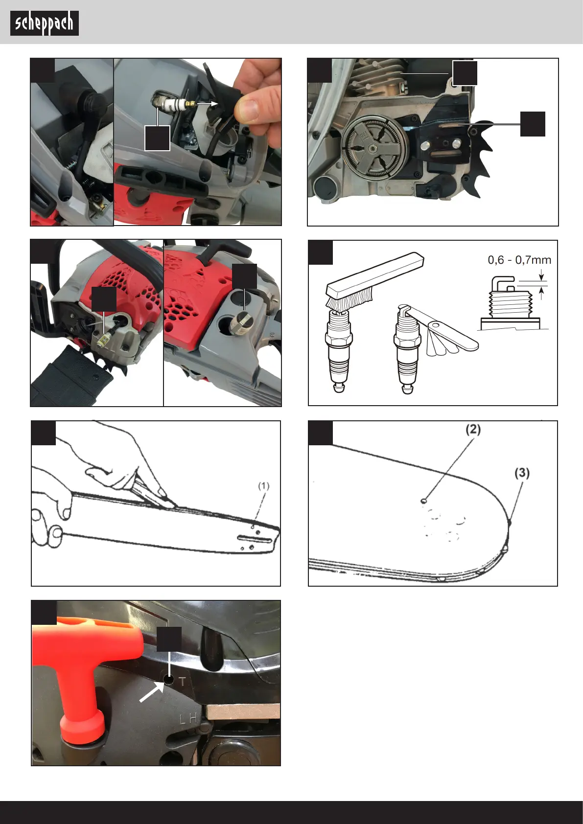 Page #6 background image