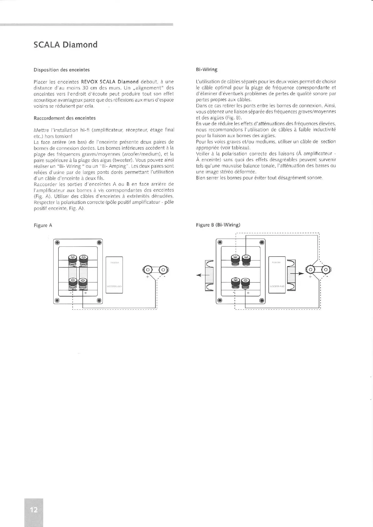 Page #12 background image