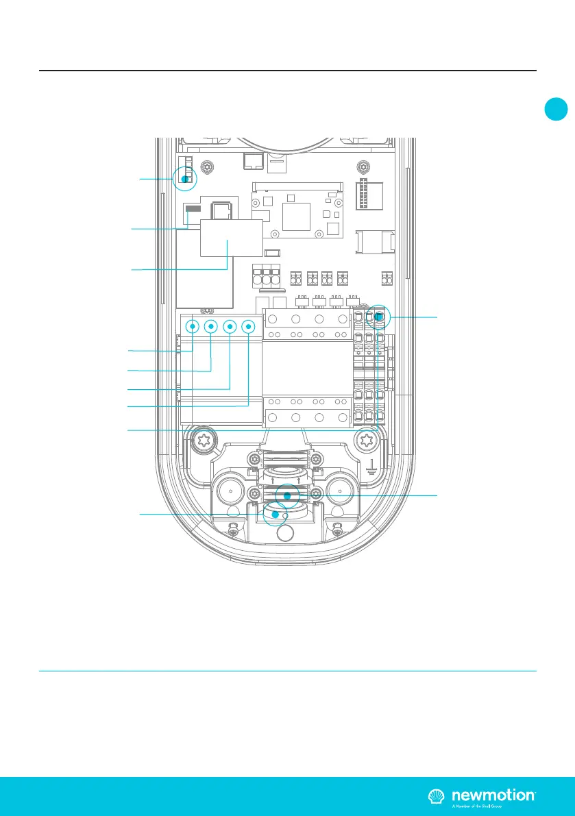 Page #11 background image