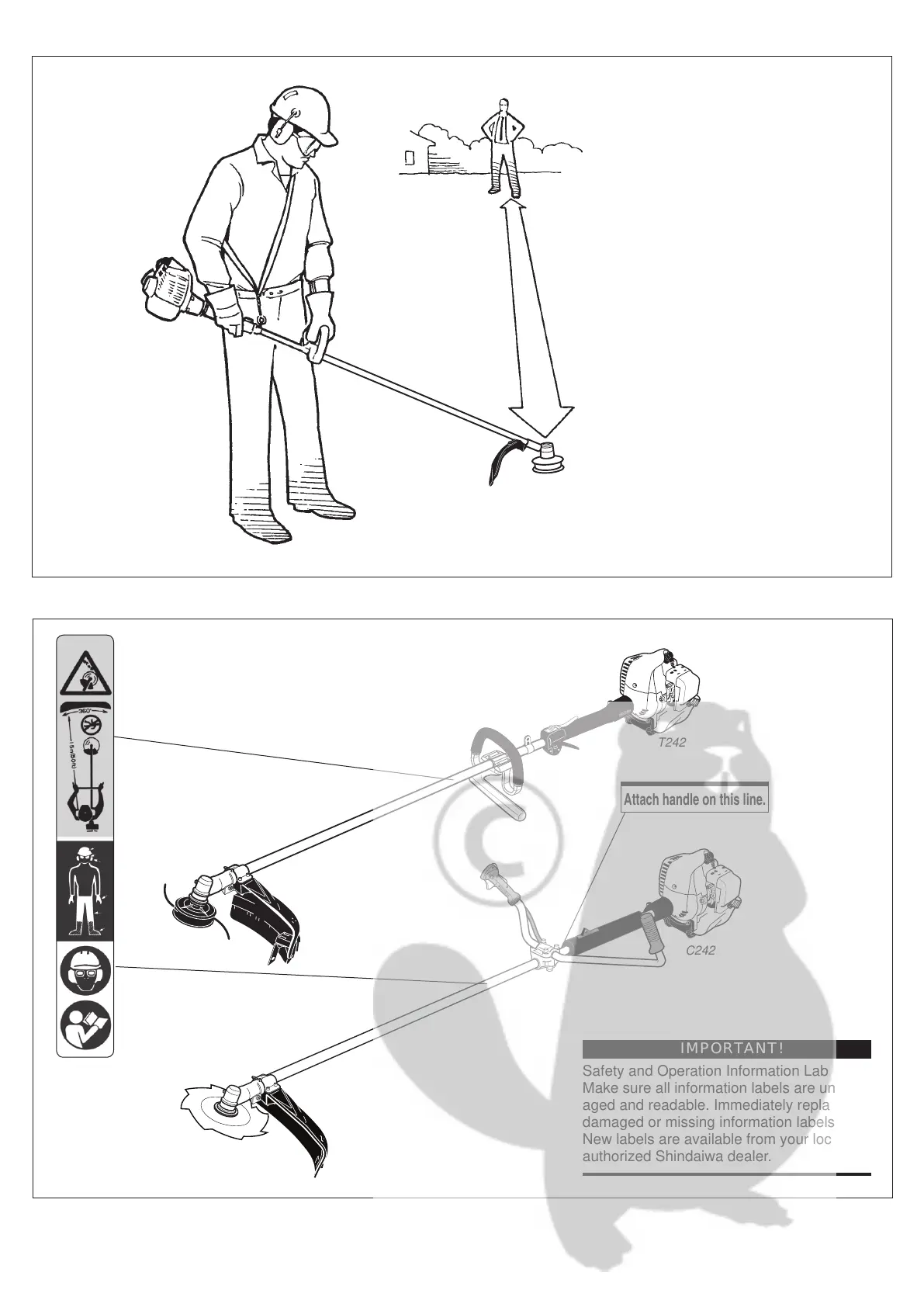 Page #4 background image