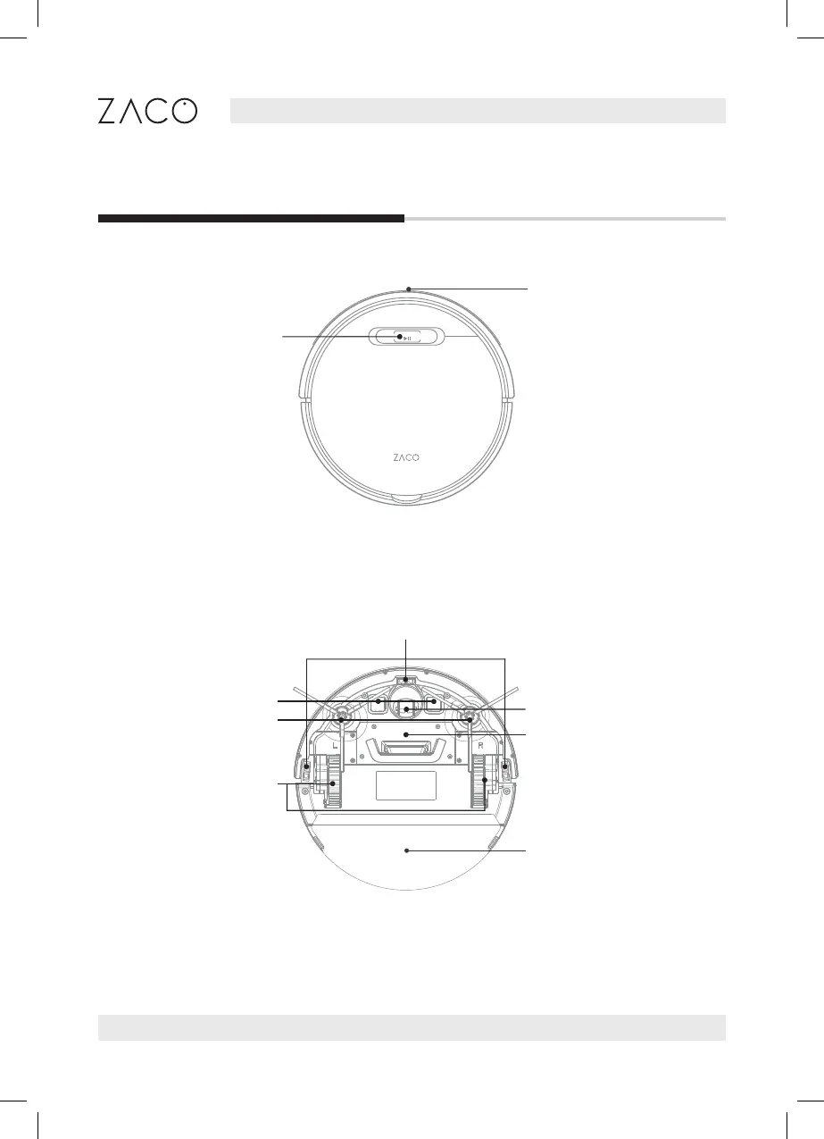 Page #6 background image