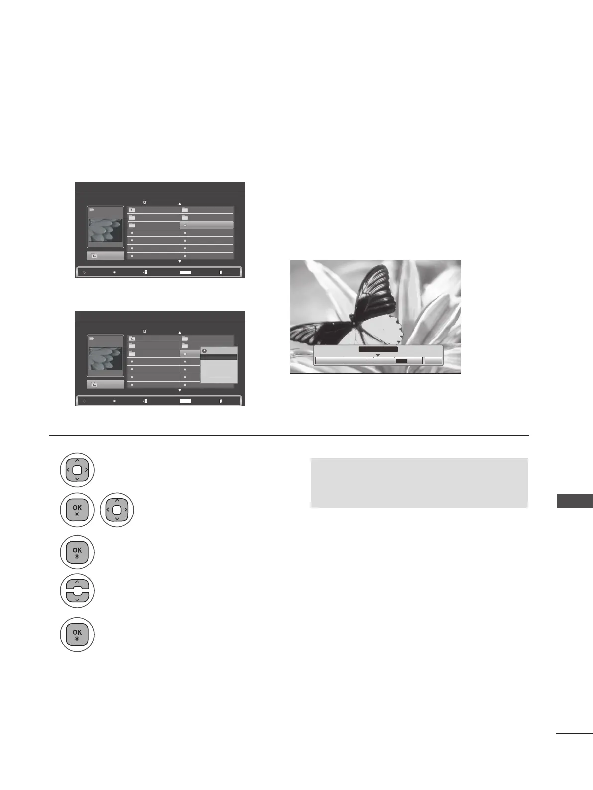 Page #117 background image