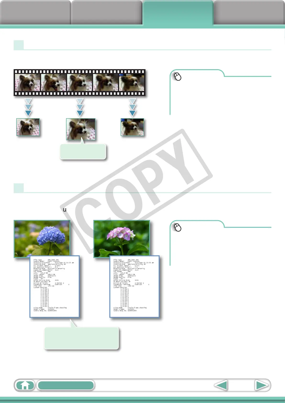 Page #34 background image