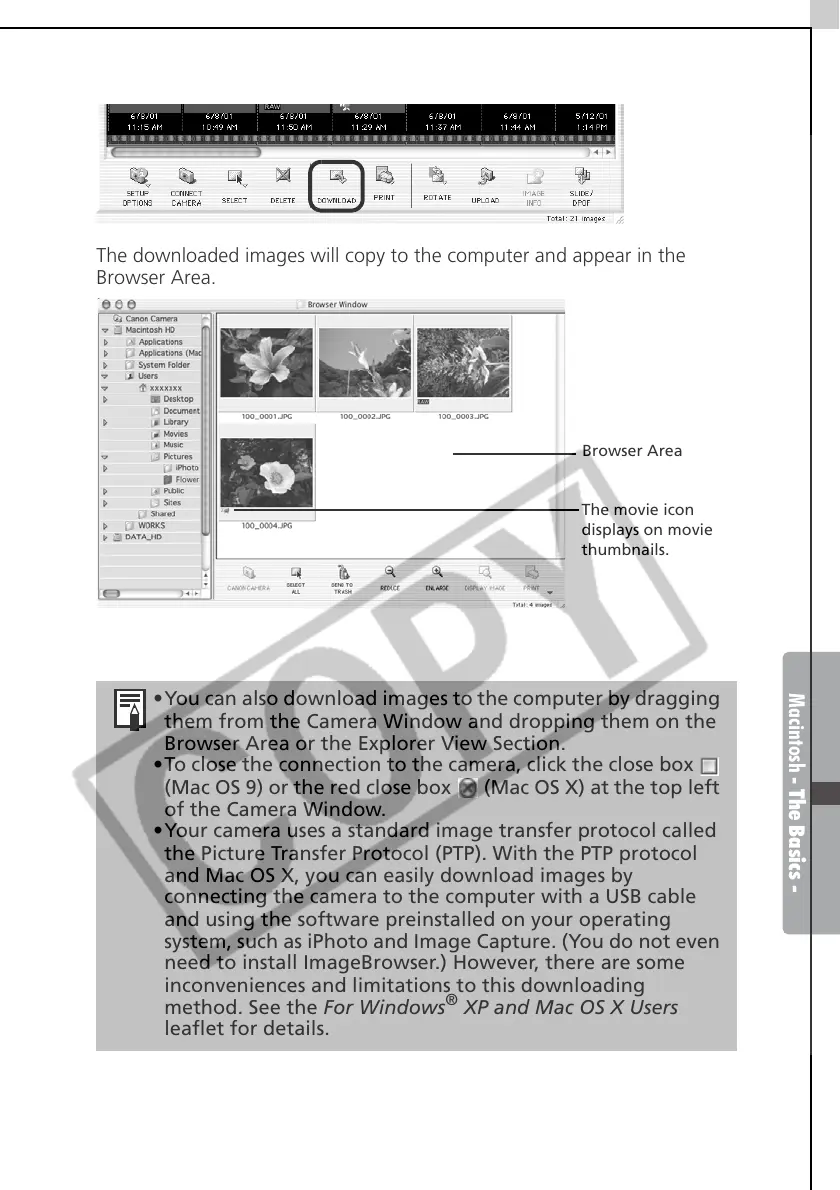 Page #75 background image