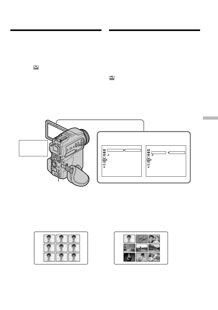 Page #215 background image