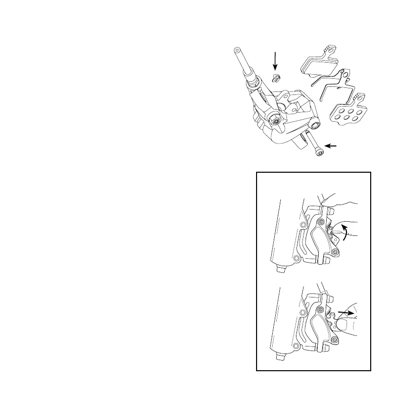 Page #49 background image