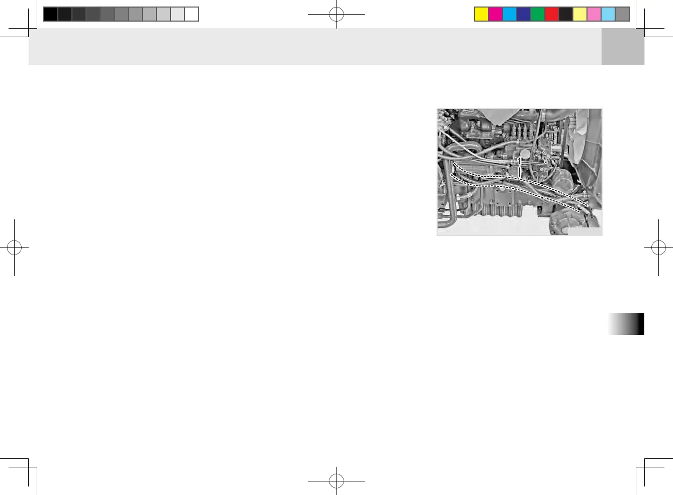 Page #219 background image