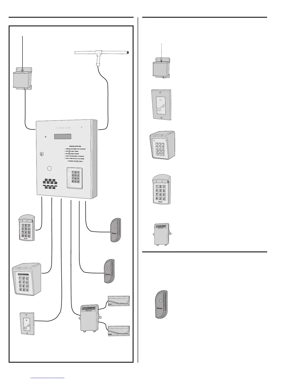 Page #4 background image