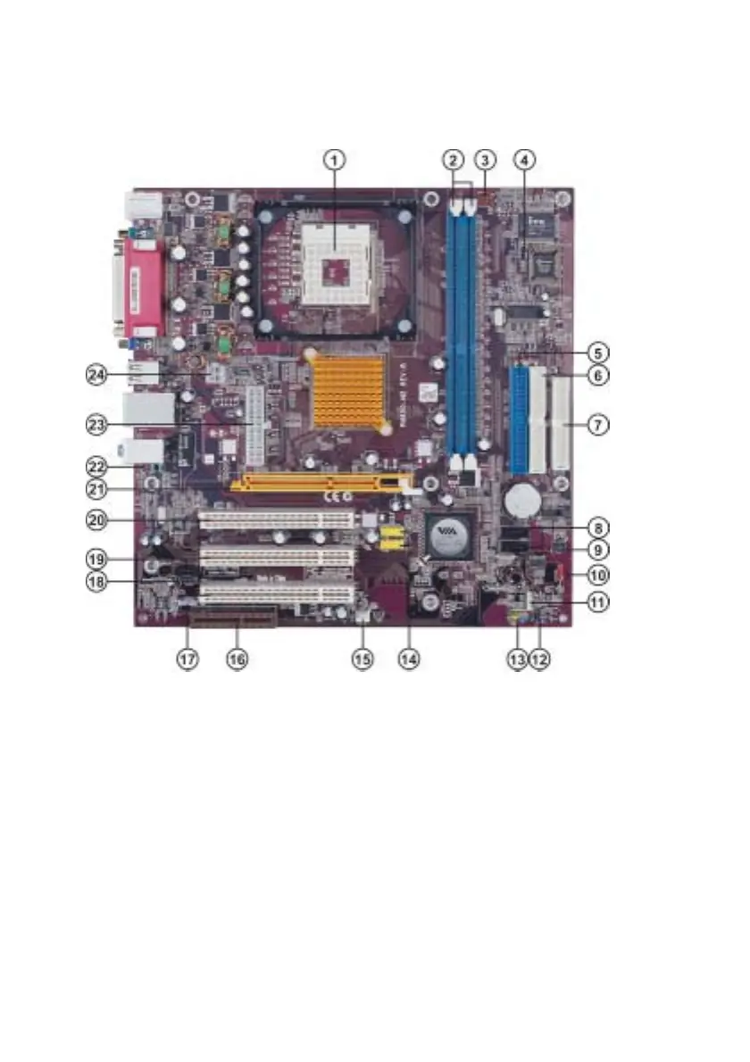 Page #8 background image