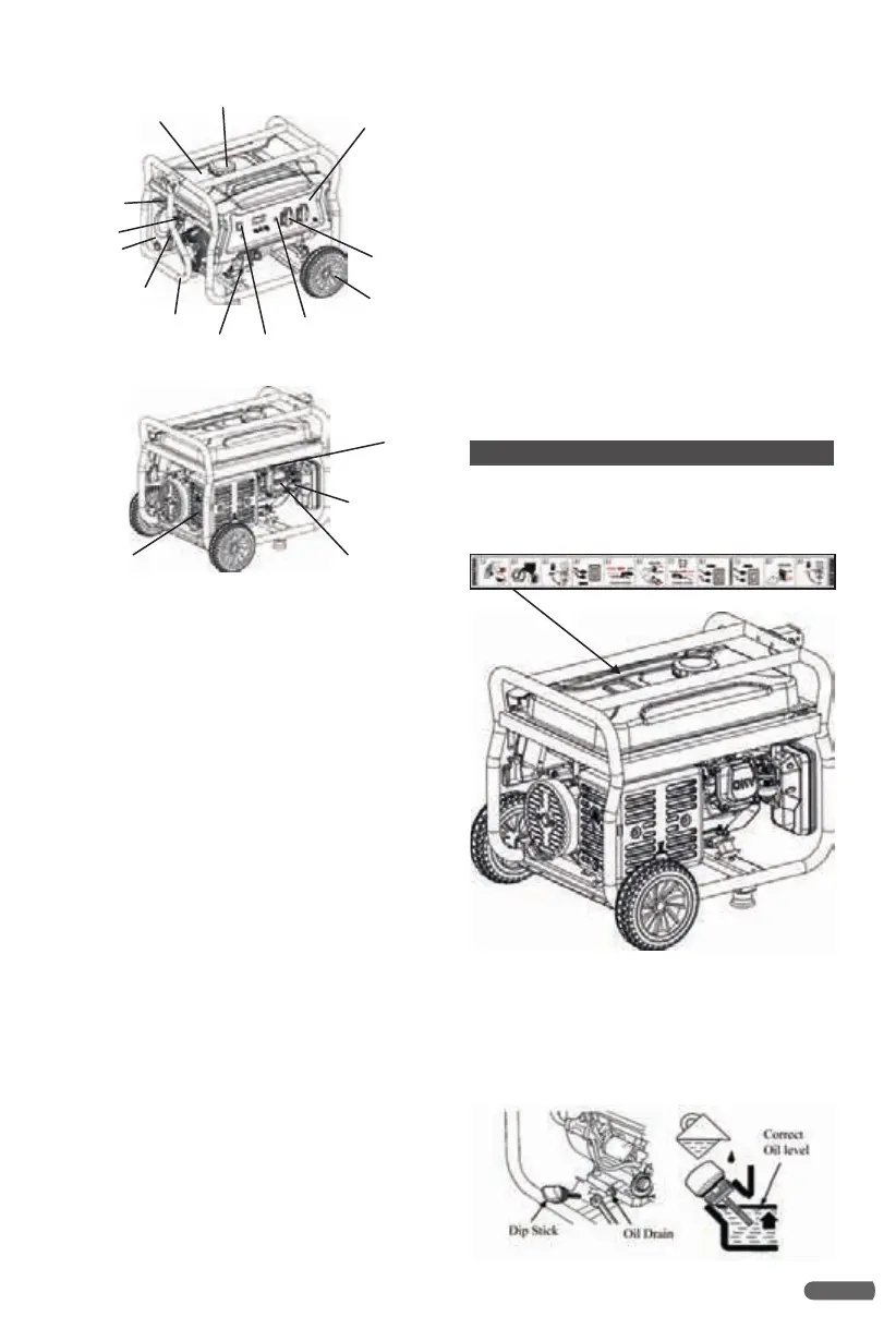 Page #19 background image