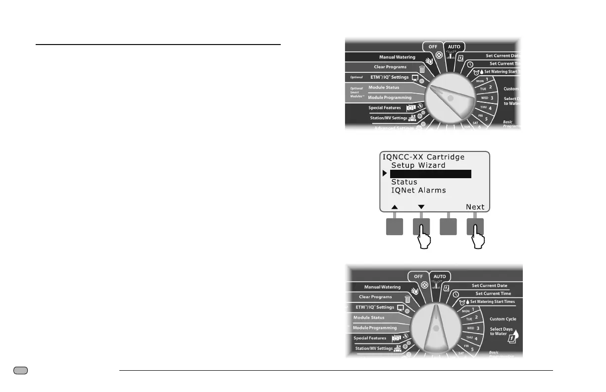 Page #8 background image