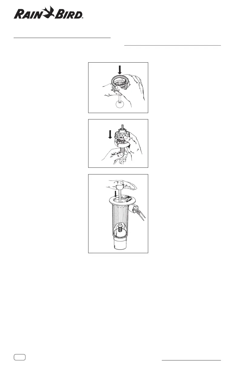 Page #16 background image