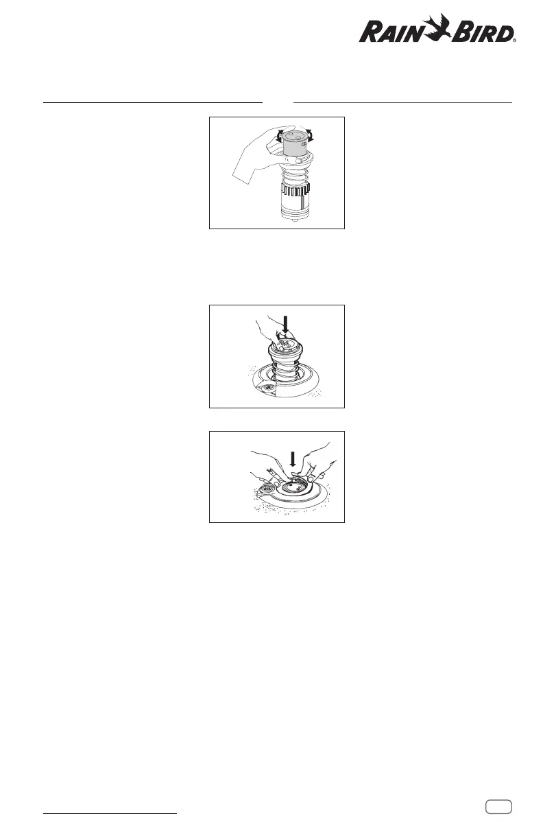 Page #11 background image