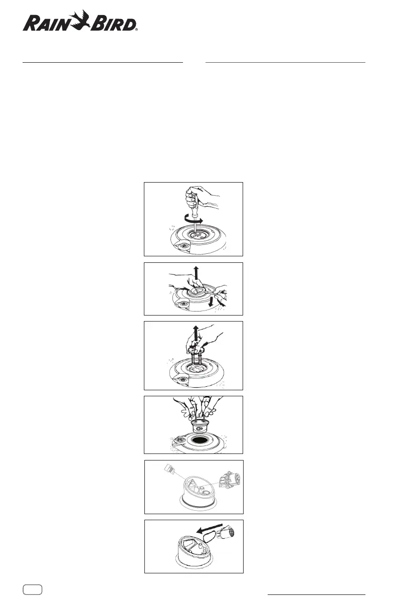 Page #12 background image