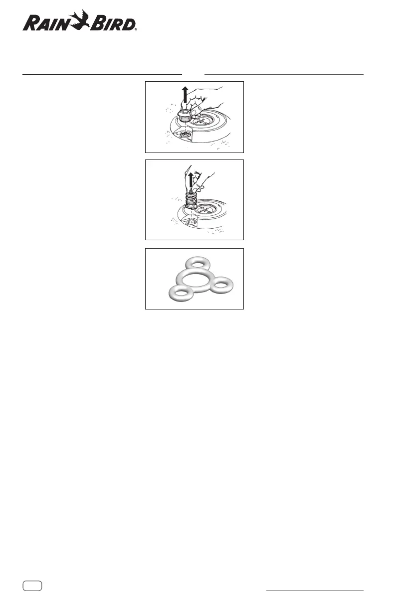 Page #14 background image