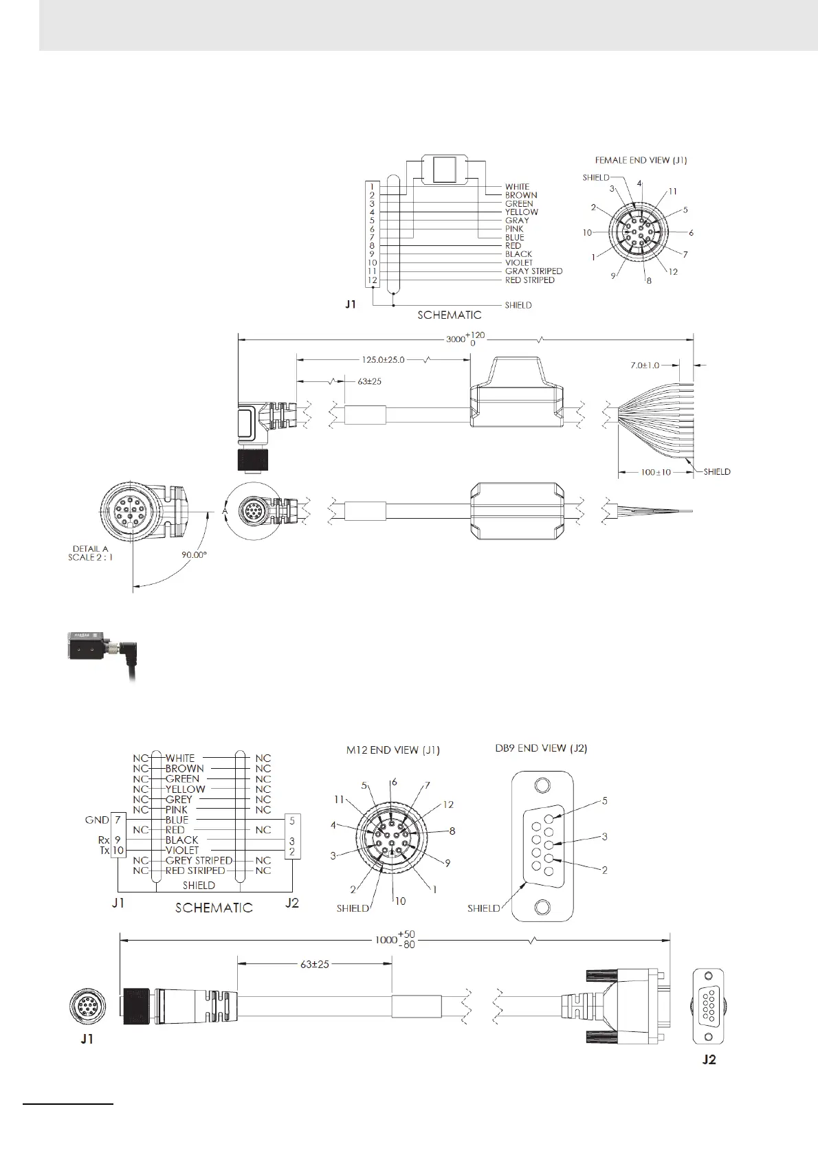 Page #119 background image