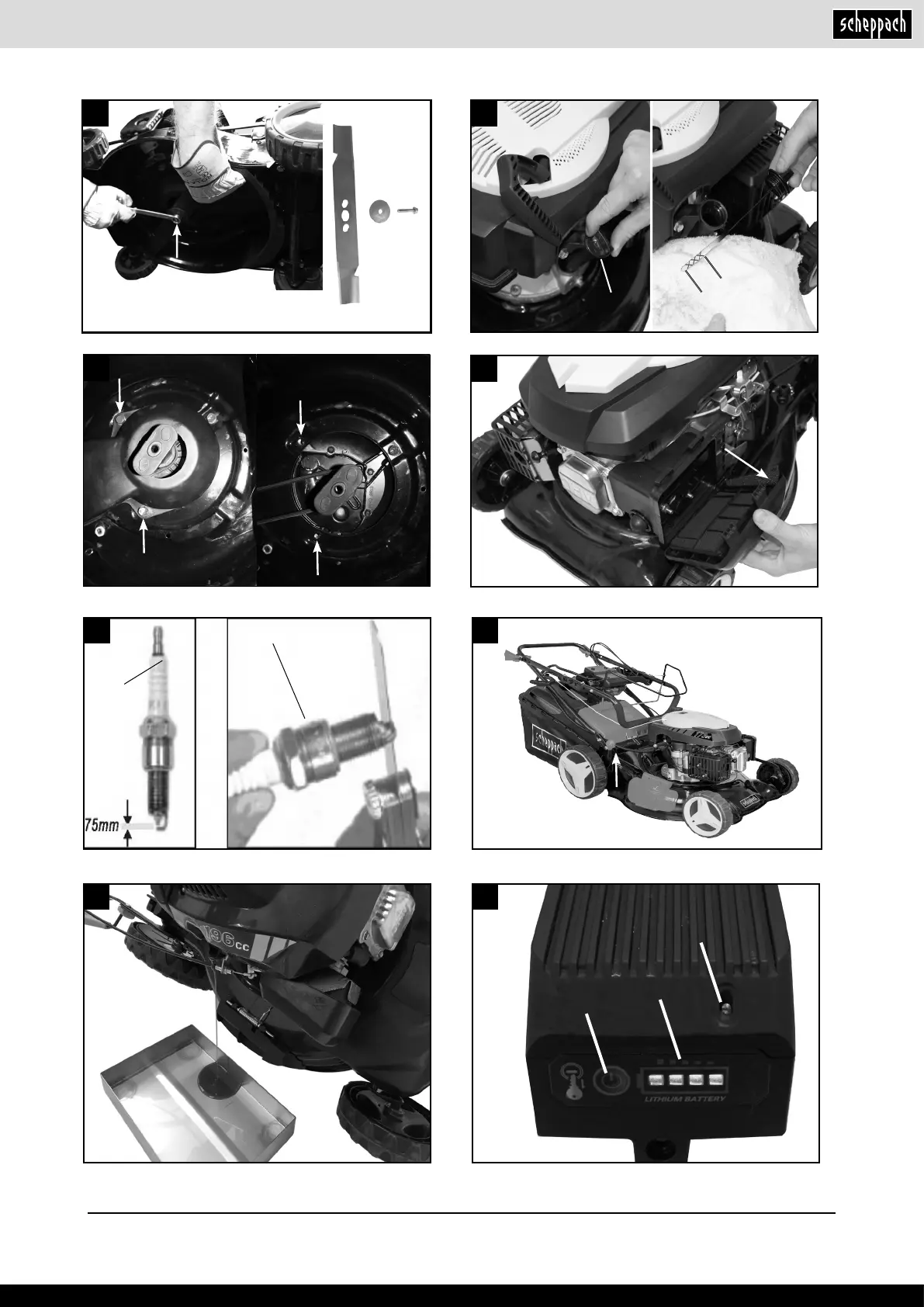 Page #5 background image