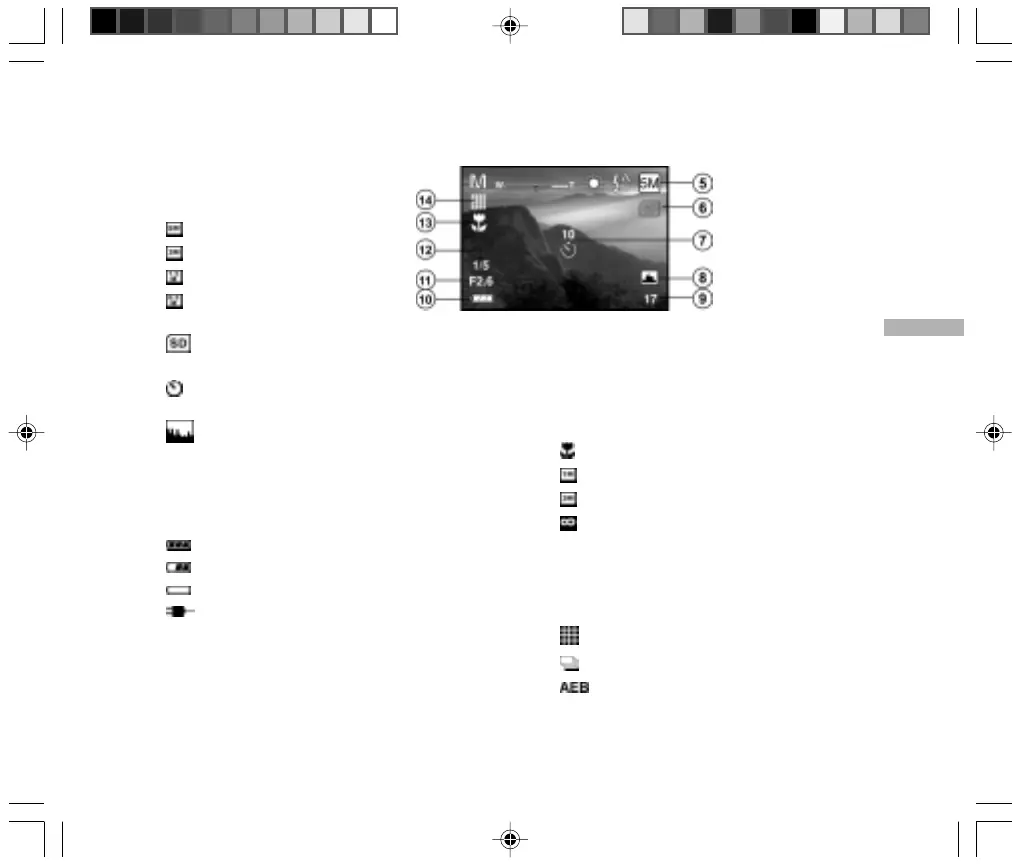 Page #15 background image