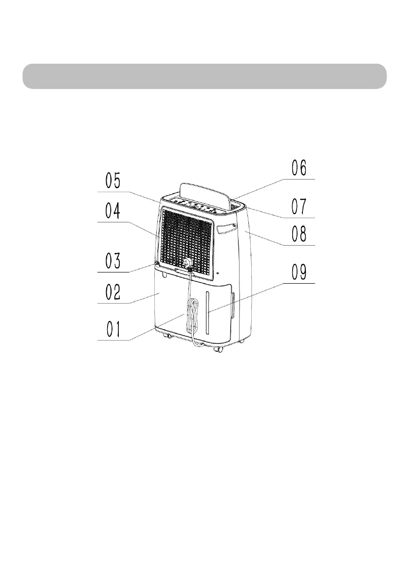 Page #43 background image