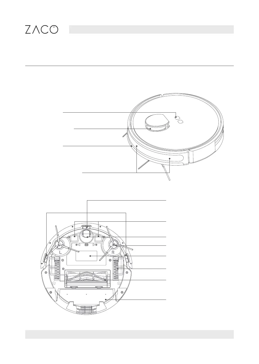 Page #10 background image
