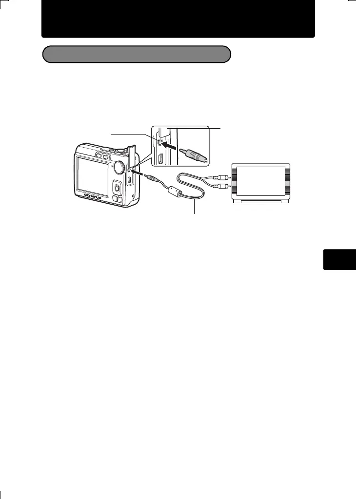 Page #119 background image