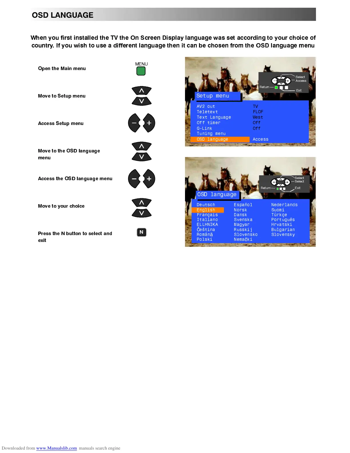 Page #19 background image