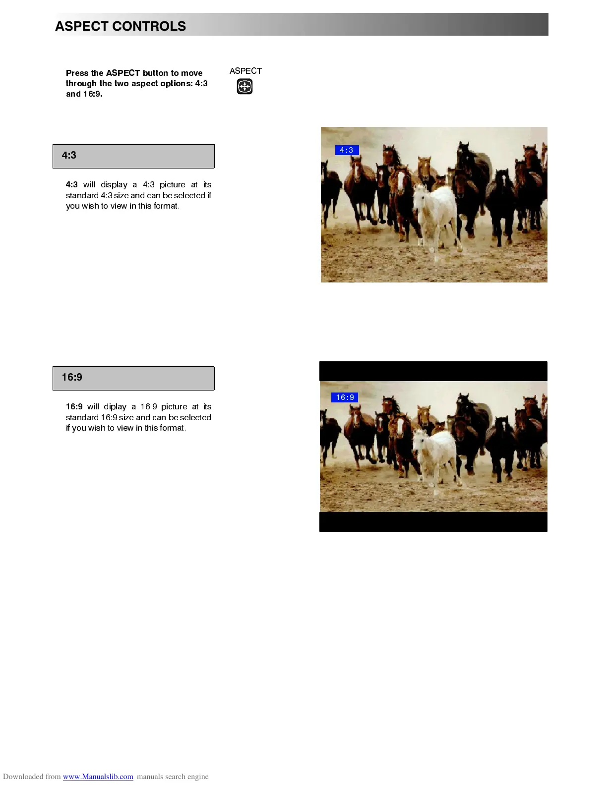 Page #8 background image