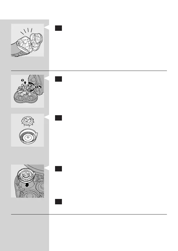 Page #29 background image