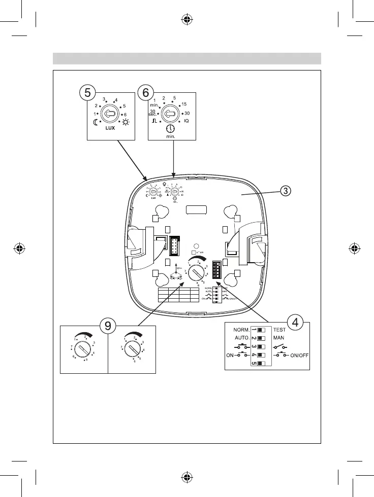 Page #4 background image