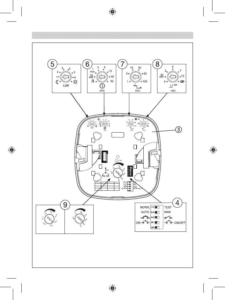 Page #7 background image