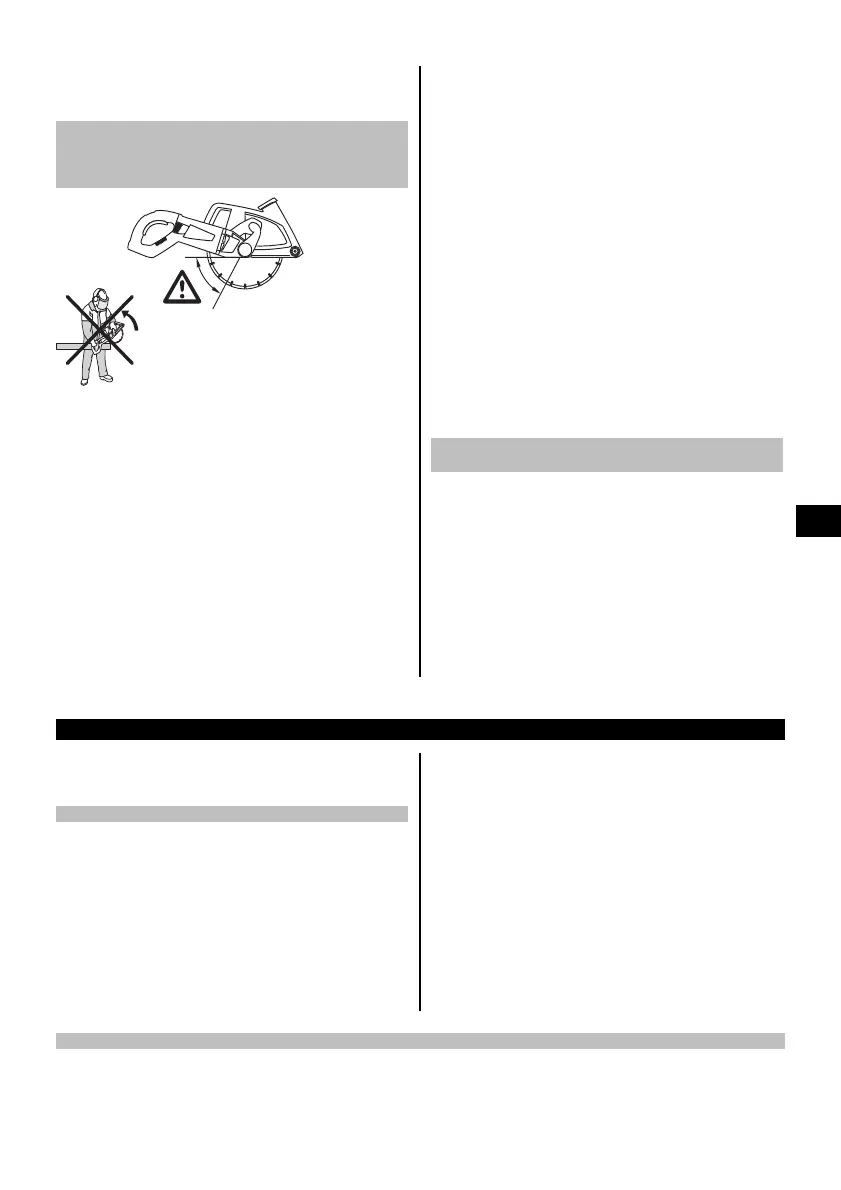 Page #213 background image